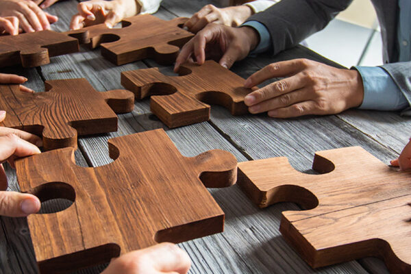 Acorn Coaching & Development - team coaching white paper