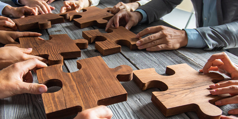 Acorn Coaching & Development - team coaching white paper