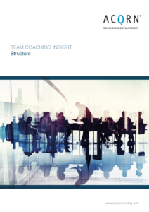 Acorn - Team Coaching Structure