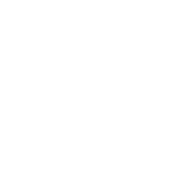 Team Members